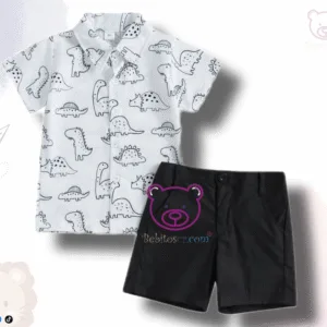 Conjunto 12M