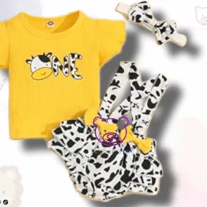 Conjunto 12M