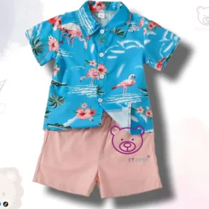 Conjunto Flamingos 18M