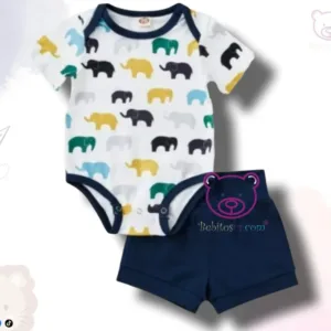 Conjunto Elefantes 6M