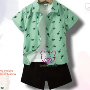 Conjunto Dino 6T