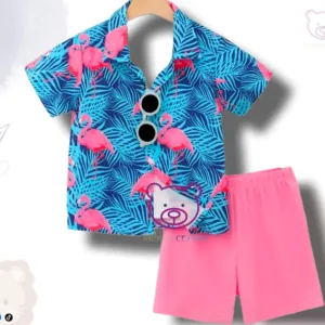 Conjunto 6T