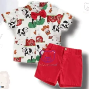 Conjunto Granja Zenon 12M